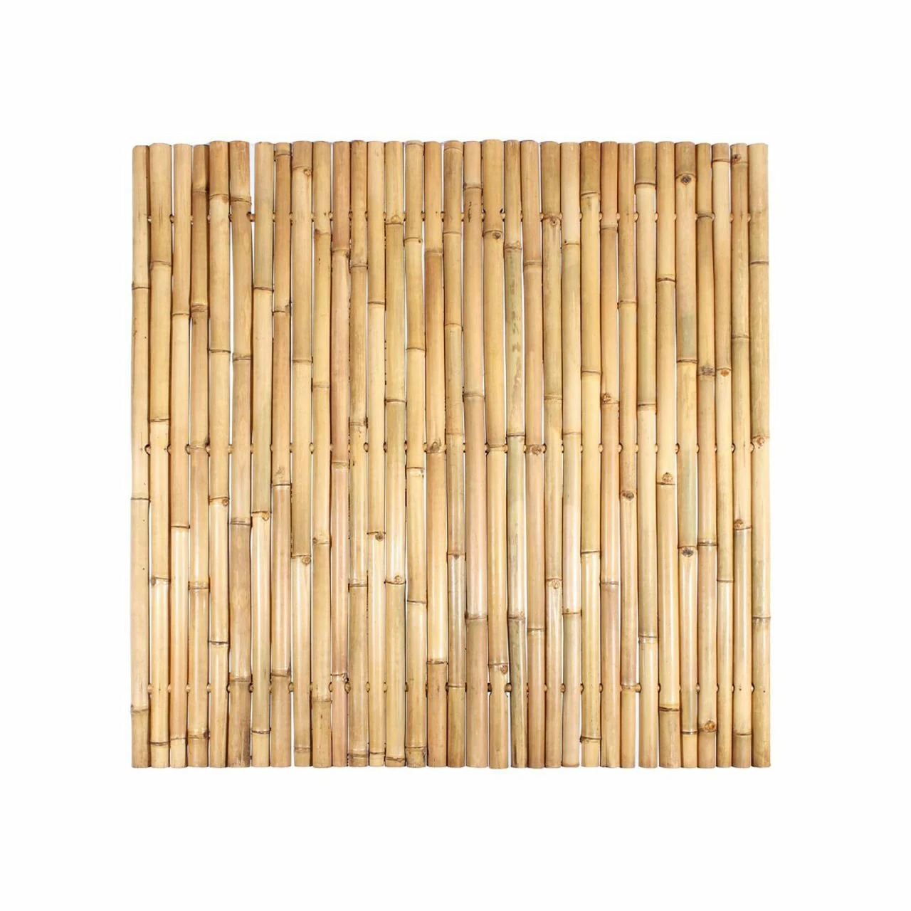 Bamboo Fence